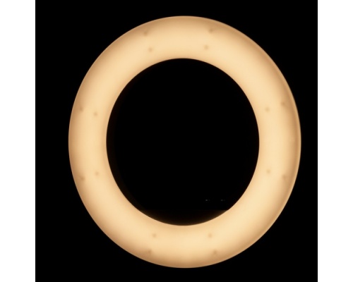 Ring Lamp Ring Light 18'' λευκό - 45W LED με ρυθμιζόμενο μαύρο τρίποδο + καθρέπτη 201018-21477